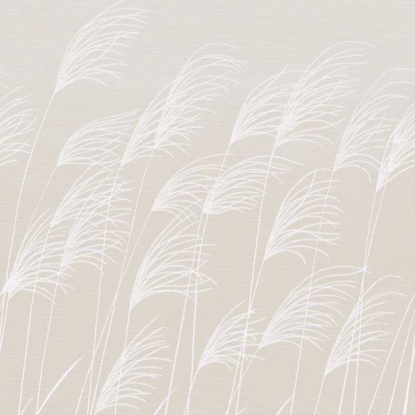 Miscanthus Wallpaper - 113231